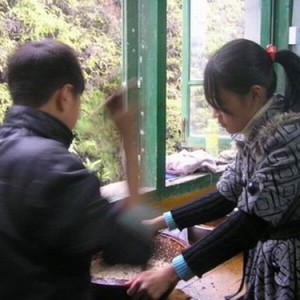 城关小学开展“我是擂茶小传人”活动