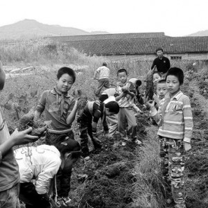 将乐县农村中小学生劳动实践基地喜获丰收