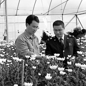 将乐县货值3.7万元的鲜切花顺利出口韩国